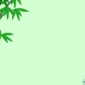 �ػ�С�������Tȫ�׷���(w��)