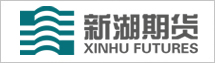 新湖期貨股份有限公司