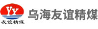 烏海市友誼精煤有限責(zé)任公司